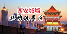 三级黄色女人操逼逼中国陕西-西安城墙旅游风景区