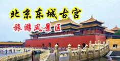 插的好爽啊视频中国北京-东城古宫旅游风景区