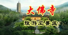 草逼逼视频网站中国浙江-新昌大佛寺旅游风景区
